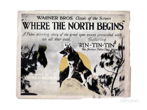 where-the-north-begins-rin-tin-tin-1923