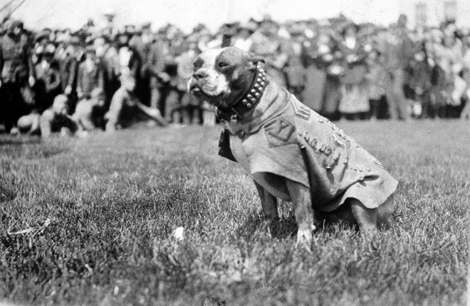 April 4, 1926  America’s 1st War&nbsp;Dog