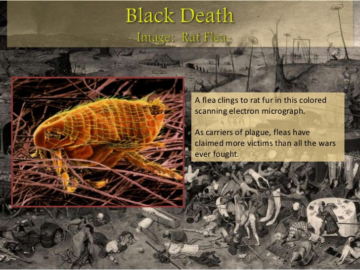 medieval-life-the-black-death-bubonic-plague-black-plague-8-728