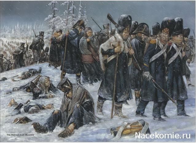 Grand Armee Retreat from Moscow