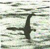 Nessie, Robert Wilson