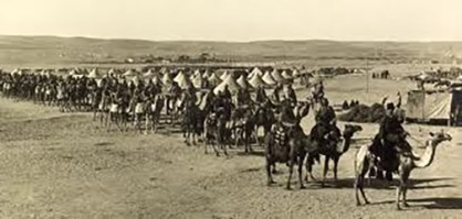 Camel Corps