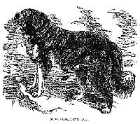 Lewis_and_clark, Seaman