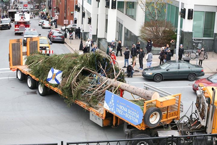 Halifax Tree Sendoff