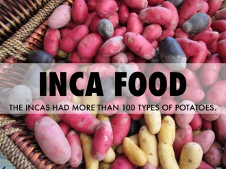 Inca food