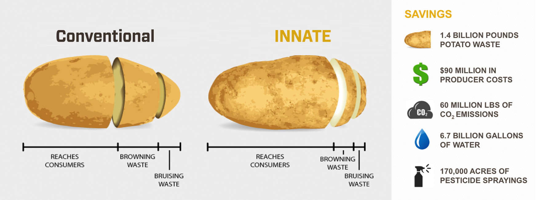 potato-infographic