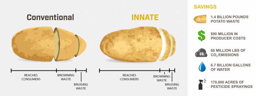 potato-infographic