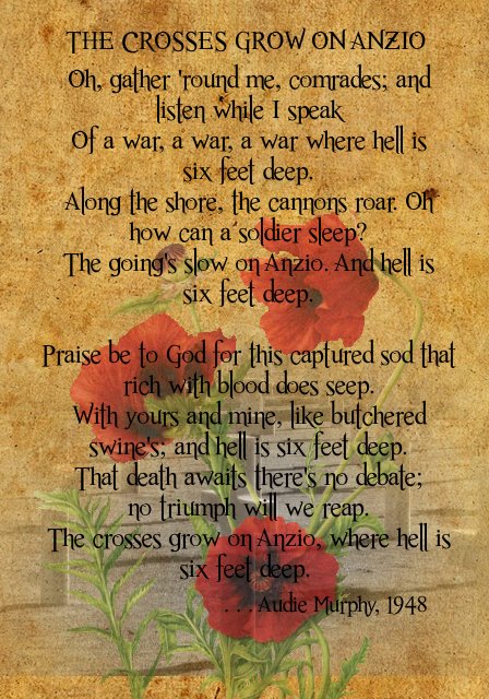 cc5083d1b7c62b153cd42c8f568de8f7