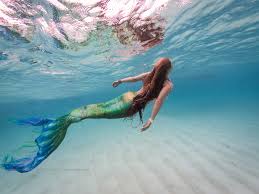 mermaid