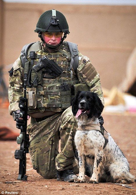 4de6134f233b601ab634d1078c676380