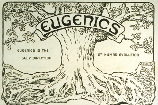 lrg_16330_233eugenictree
