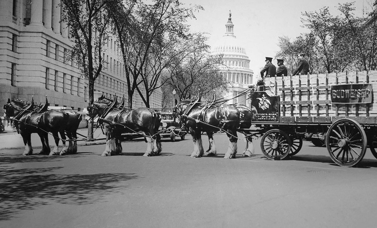 fd3cb0f1f05a3b17a69799cd32a01bcb