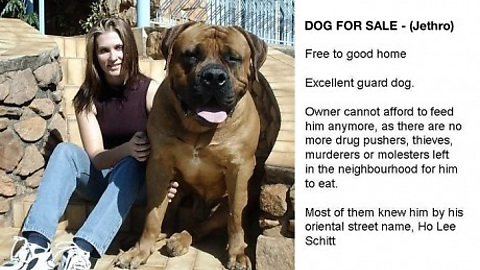 Ho Lee Schitt