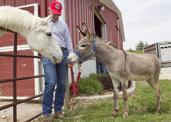 smoke-donkey-omaha.600pjpg