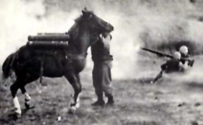 379_4846200240062_674245243_n