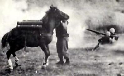 379_4846200240062_674245243_n