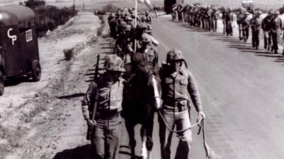 eae75db58fc3a2ec2c20c4273d5b9435