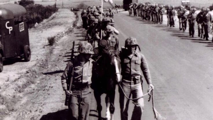 eae75db58fc3a2ec2c20c4273d5b9435