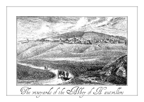 hautvillers-vineyards
