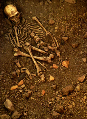 Sarlat and sites 402