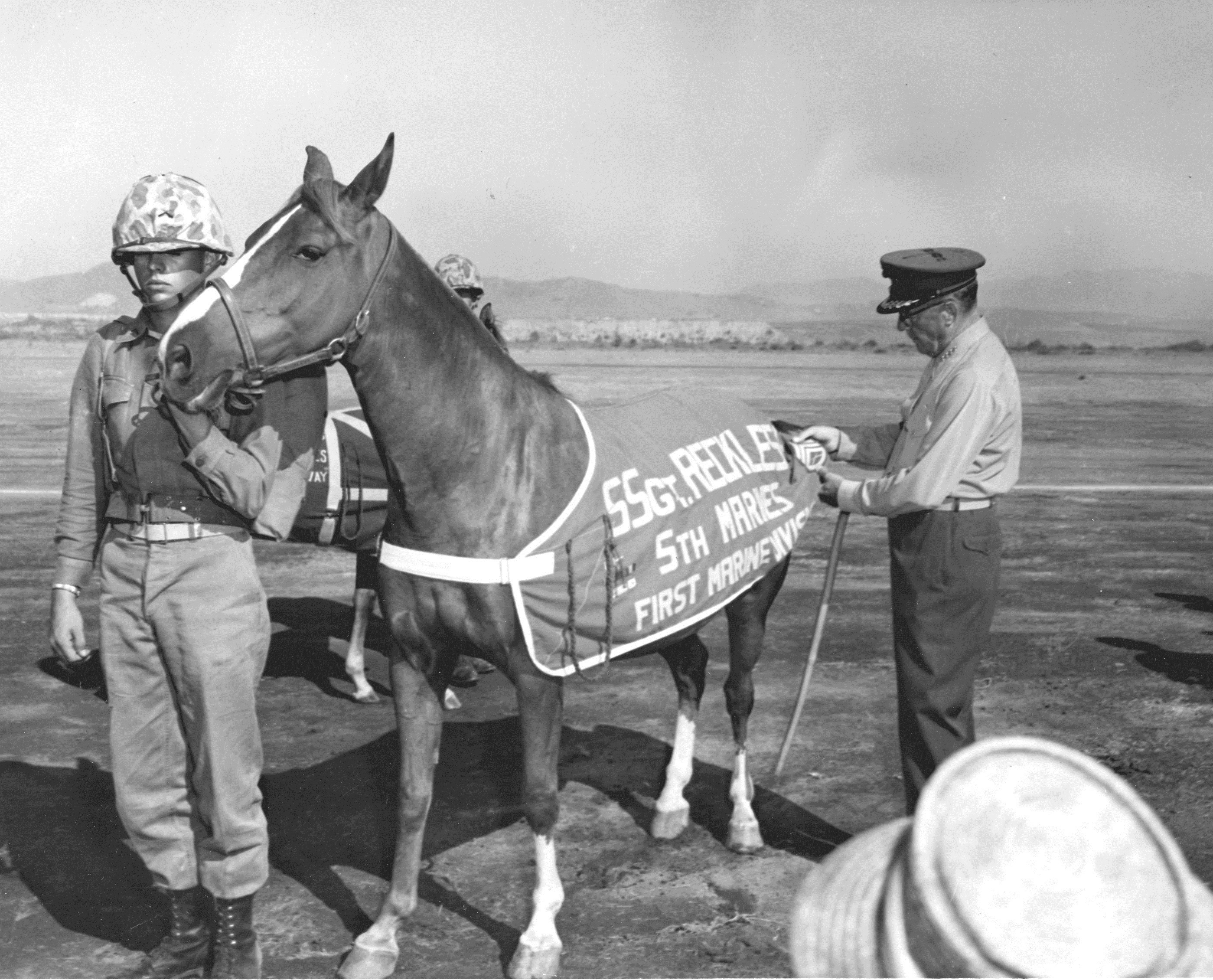 sgt-reckless_PHOTO_D