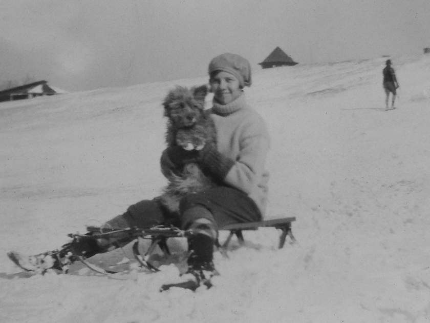 rags-the-dog, sledding