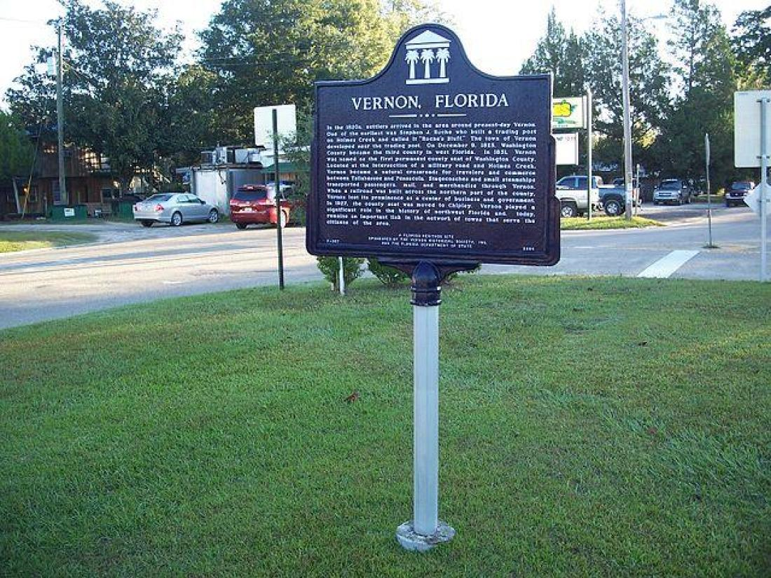 October 8, 1981 Nub&nbsp;City