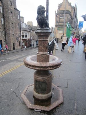 200365253-114256-400