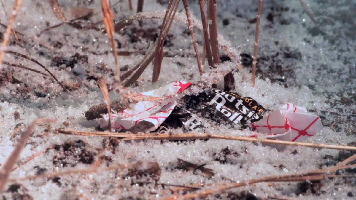 November 28, 1950  Of Courage, and&nbsp;Candy