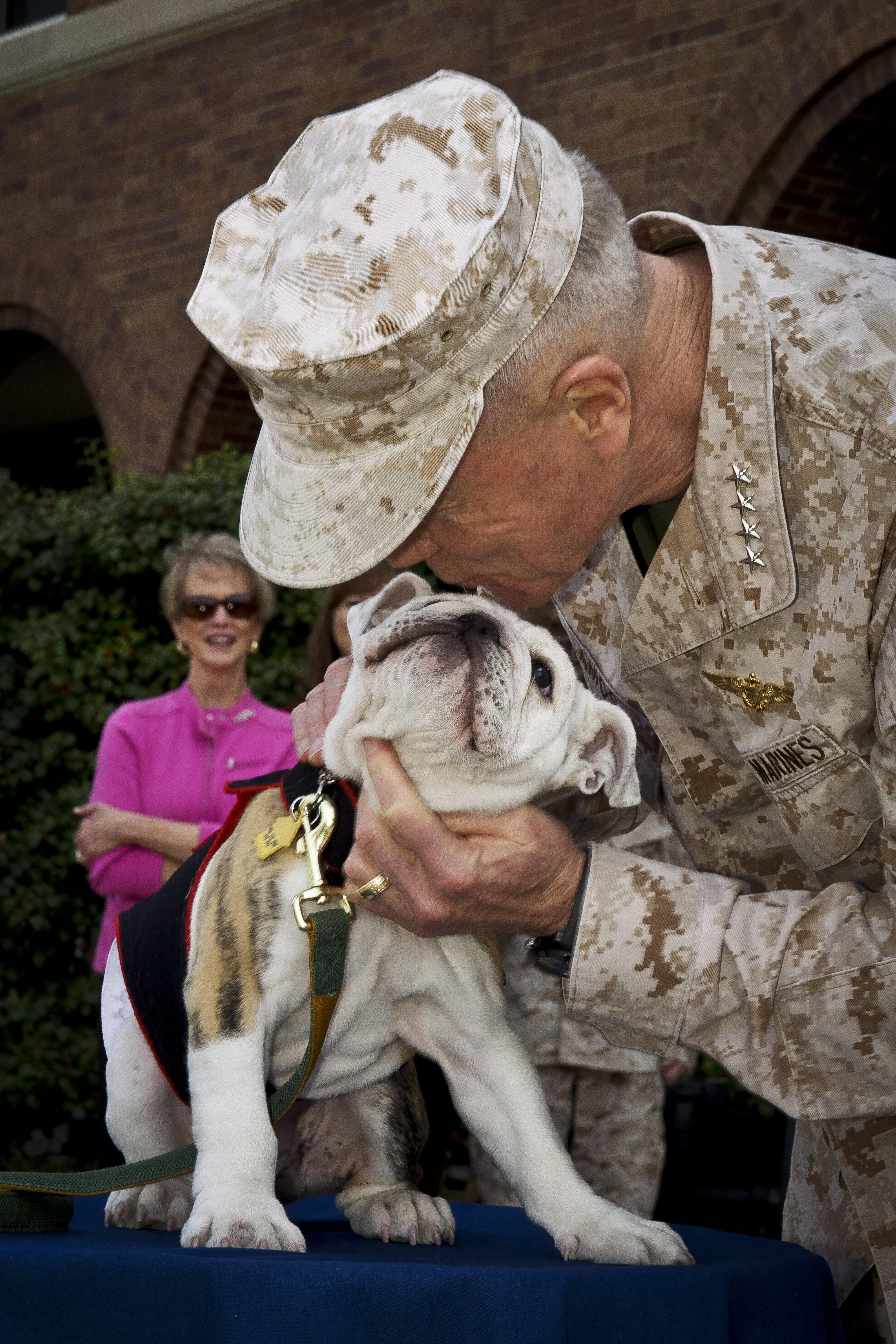 marines-chesty-bulldog.jpg