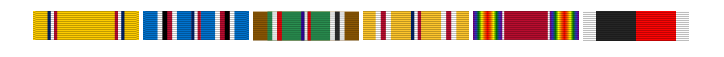 Campaign_ribbon