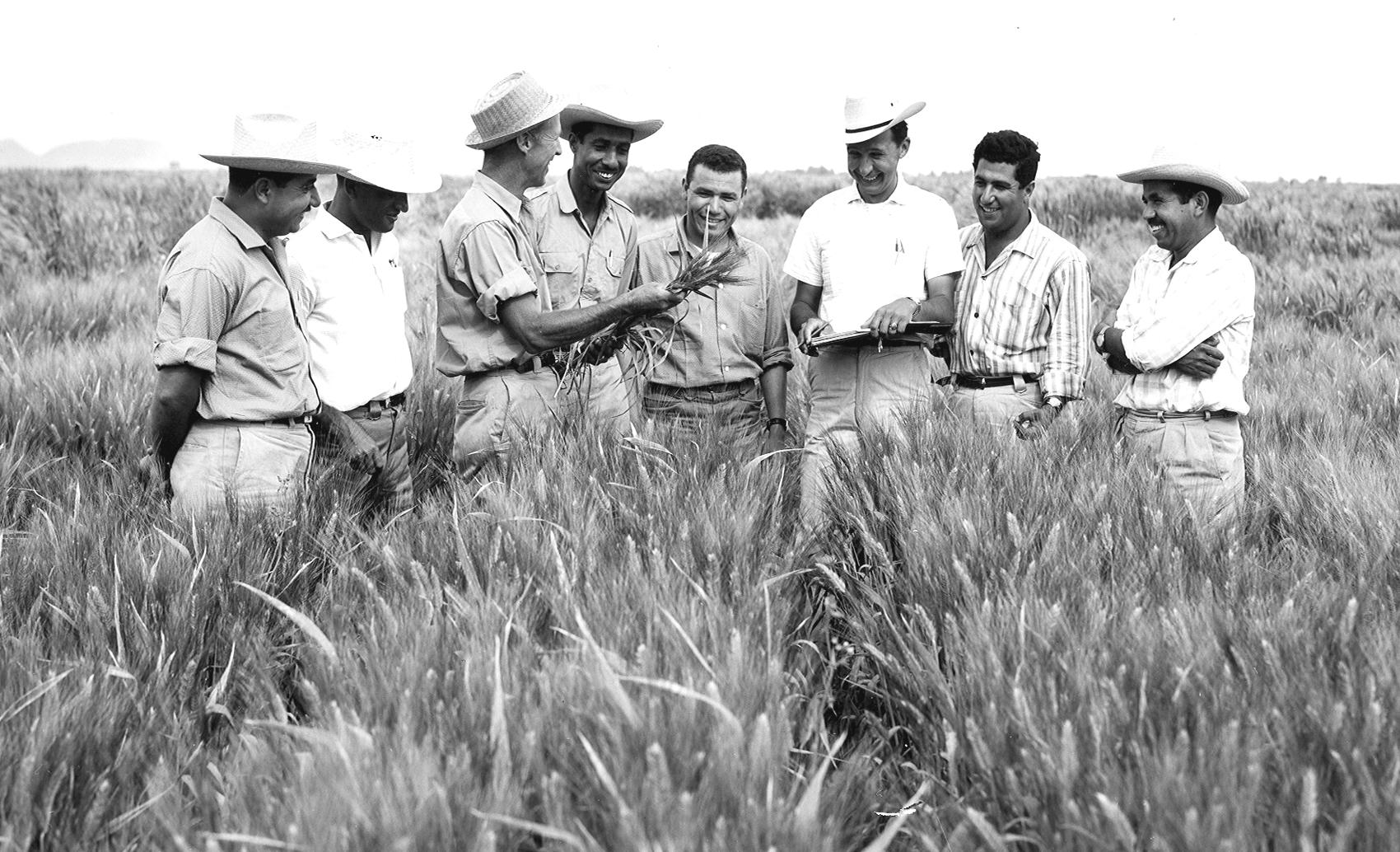 borlaug_2