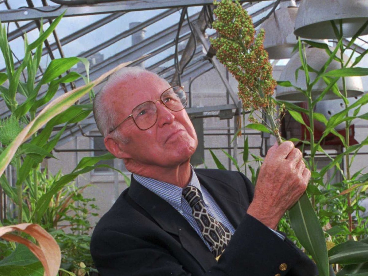 norman-borlaug-6