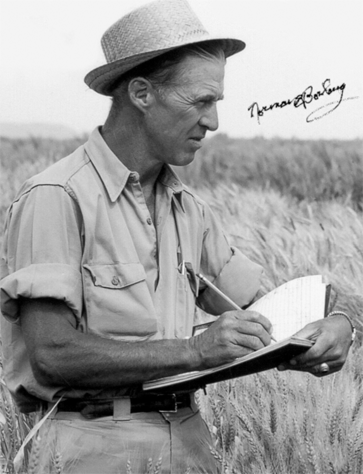 norman-borlaug1