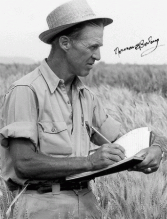 norman-borlaug1