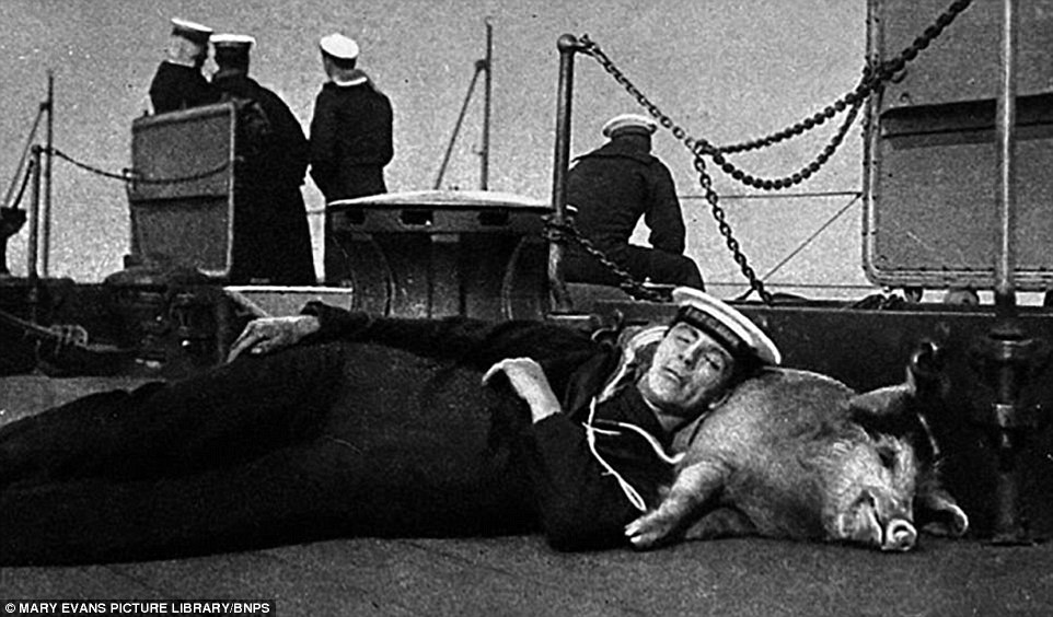 3F0CB7DC00000578-4359902-image-a-4_1491812234452