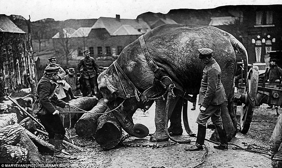 3F0CB7E400000578-4359902-image-a-8_1491812296139