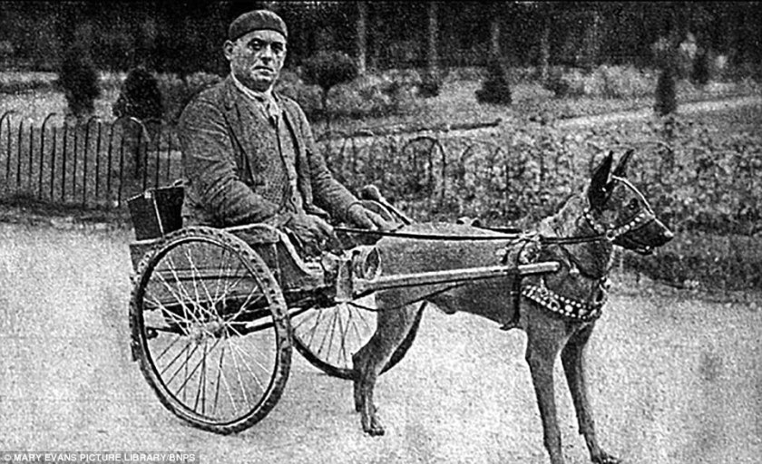 3F0CB7F500000578-4359902-image-a-15_1491812396284