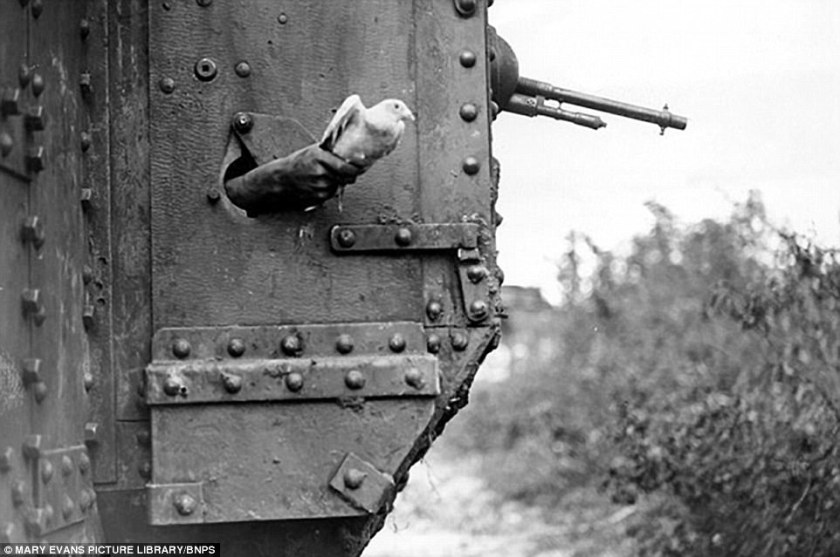 3F0CB81400000578-4359902-image-a-25_1491812524663