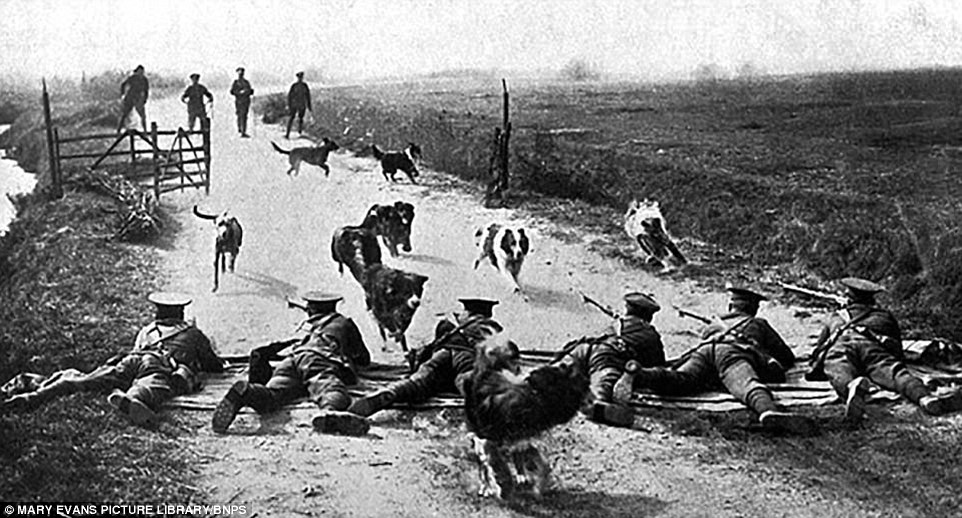 3F0CB81C00000578-4359902-image-a-31_1491812576844