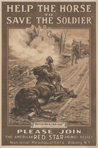 Downsize_Help Save the Horse to Save the Soldier