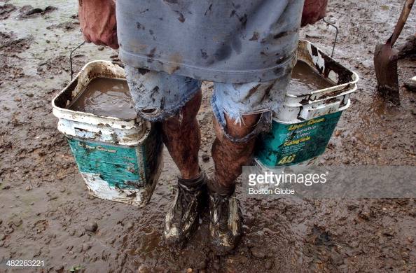 gettyimages-482263221-594x594