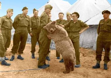 wojtek5