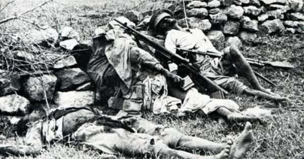 07515e35e2b3066520041e37646e8831