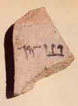 4d6e5b7865f7fe3f65d6c897db1ed696