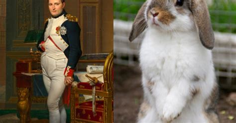 download - 2019-04-21T073531.931