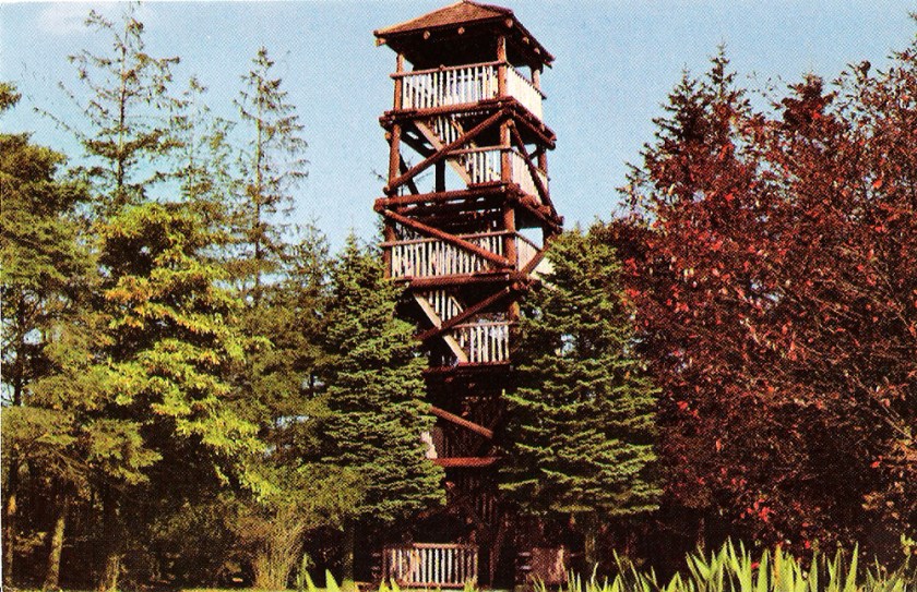 wooden-tower