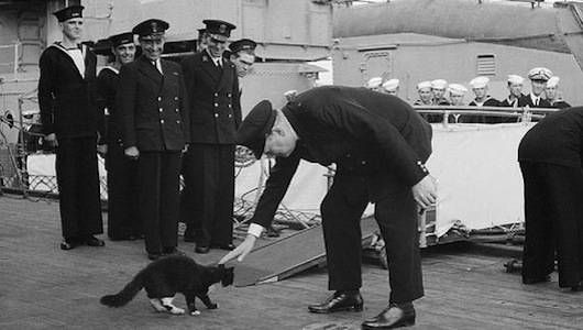 Blackie_and_Churchill.jpg.653x0_q80_crop-smart