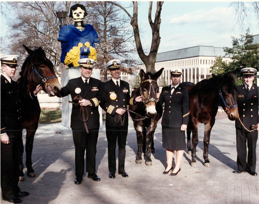 merlin_147431586_fb2dfc7c-7dec-4a74-9943-2d48f00f41b3-superJumbo