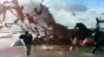 Denmark_exploding_whale.img_assist_custom